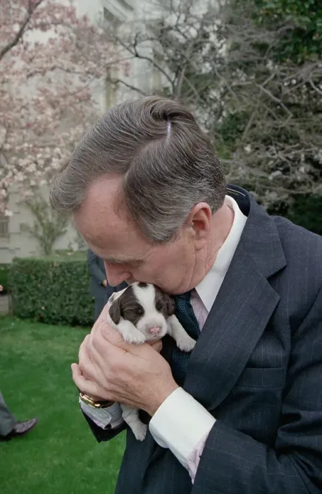 Framed Print : President George Bush Holding Puppy Framed Print : President George Bush Holding Puppy
