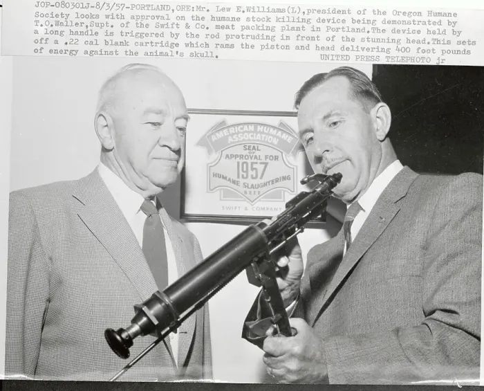Framed Print : President of Humane Society Inspecting Stock Killing Device Framed Print : President of Humane Society Inspecting Stock Killing Device