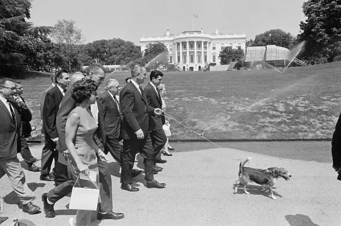 Framed Print : President Johnson Walking with Pet Dogs and Members of the White House Press Corps Framed Print : President Johnson Walking with Pet Dogs and Members of the White House Press Corps