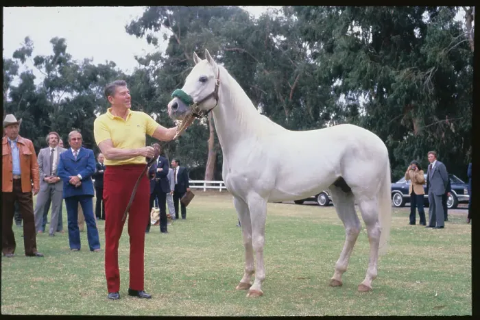 Framed Print : President Reagan Holding a Horse's Bridle Framed Print : President Reagan Holding a Horse's Bridle