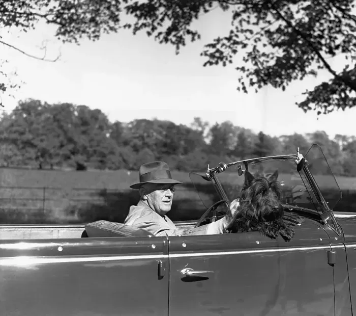 Framed Print : President Roosevelt Driving with Dog Framed Print : President Roosevelt Driving with Dog