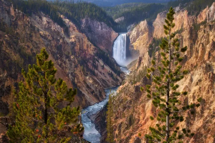Framed Print : Prestige - Lower Yellowstone Falls Framed Print : Prestige - Lower Yellowstone Falls