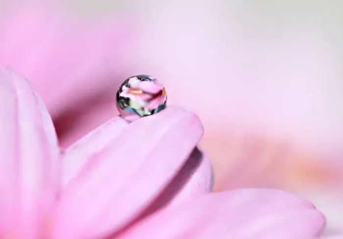 Framed Print : Pretty Pink Droplet Framed Print : Pretty Pink Droplet