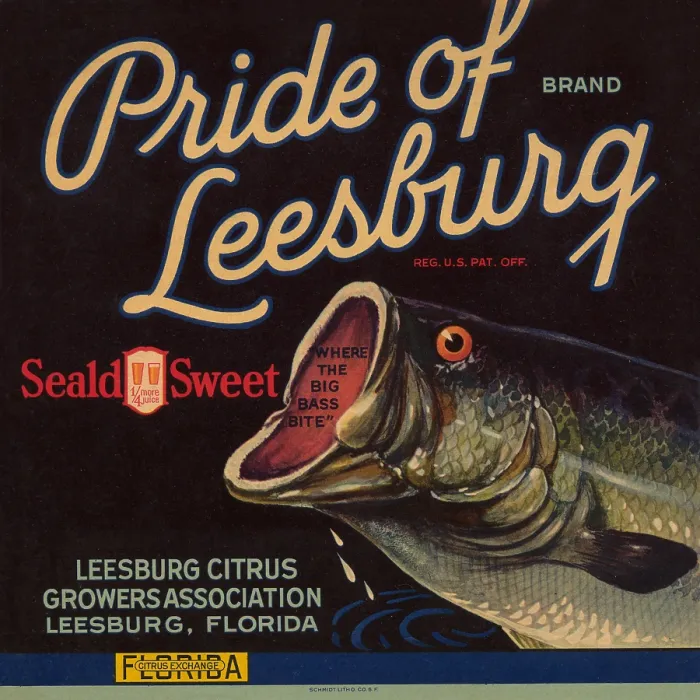 Framed Print : Pride of Leesburg Brand Framed Print : Pride of Leesburg Brand