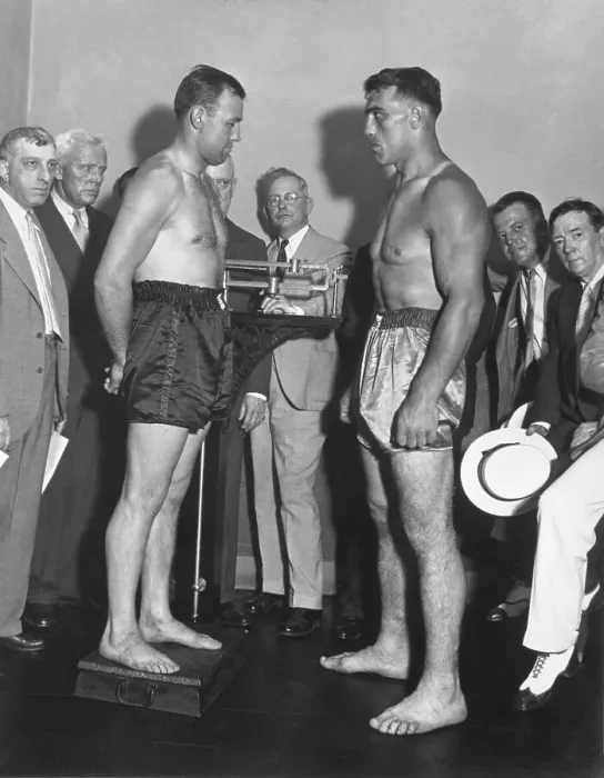 Framed Print : Primo Carnera Looks, Jack Sharkey On Scal Framed Print : Primo Carnera Looks, Jack Sharkey On Scal