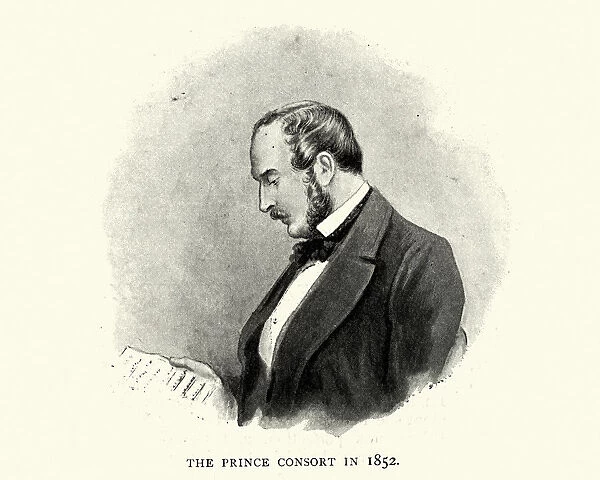 Prince Albert in 1852
