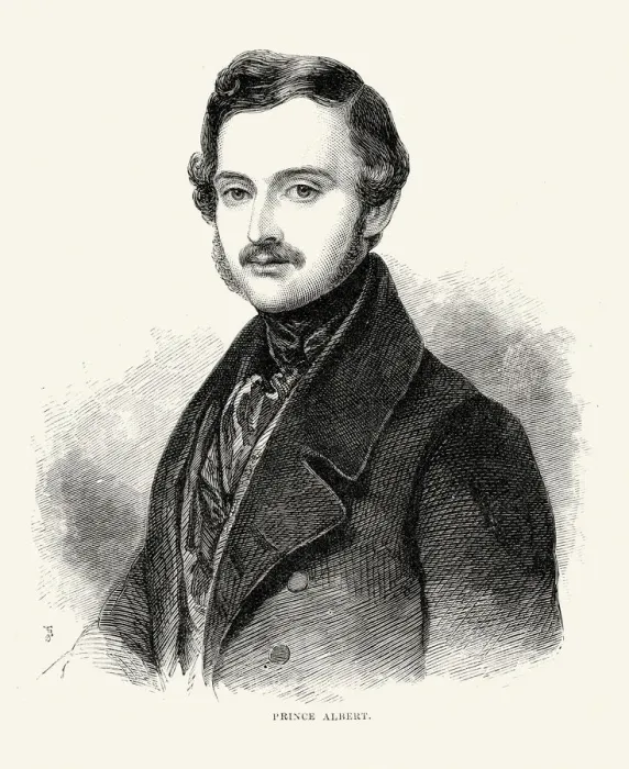 Framed Print : Prince Albert