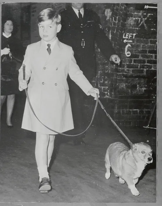 Framed Print : Prince Andrew Walking His Dog Framed Print : Prince Andrew Walking His Dog