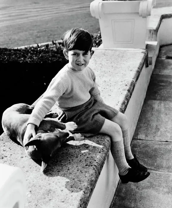 Framed Print : Prince Charles As Boy With Dog Framed Print : Prince Charles As Boy With Dog