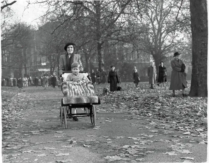 Framed Print : Prince Charles In Carriage Rides In Park Framed Print : Prince Charles In Carriage Rides In Park