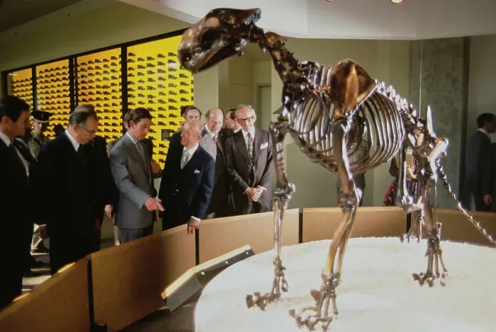 Framed Print : Prince Charles Visits La Brea Tar Pits and Museum Framed Print : Prince Charles Visits La Brea Tar Pits and Museum