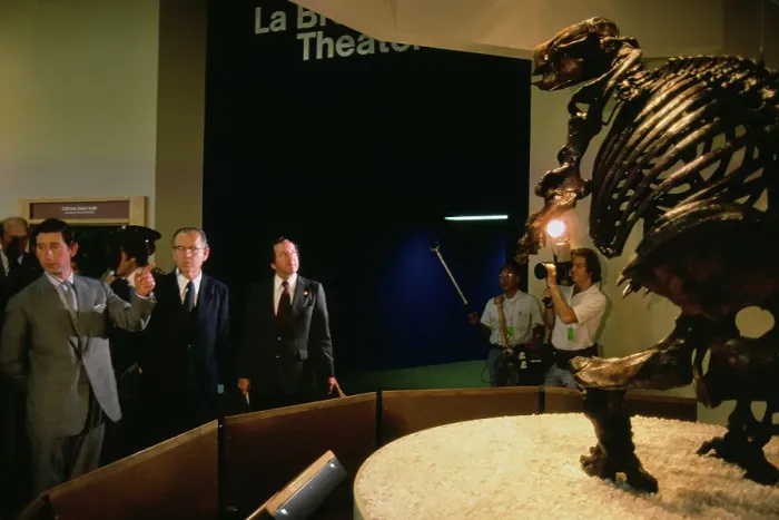 Framed Print : Prince Charles Visits La Brea Tar Pits and Museum Framed Print : Prince Charles Visits La Brea Tar Pits and Museum