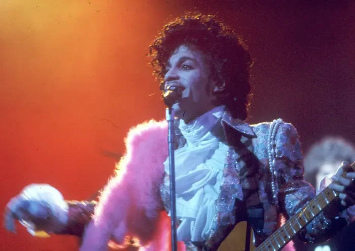 Framed Print : Prince Live In LA