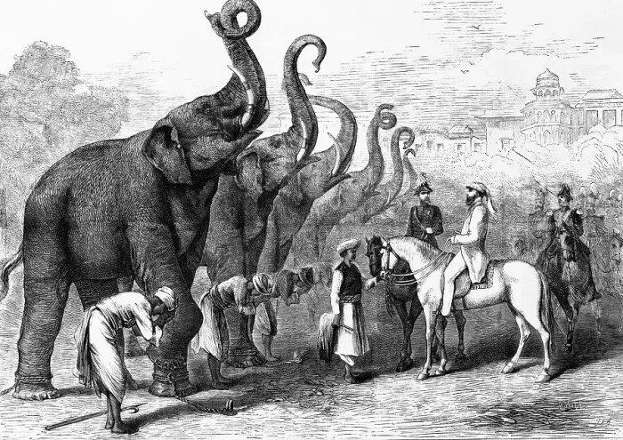 Framed Print : Prince Of Wales with Troops and Elephants Framed Print : Prince Of Wales with Troops and Elephants