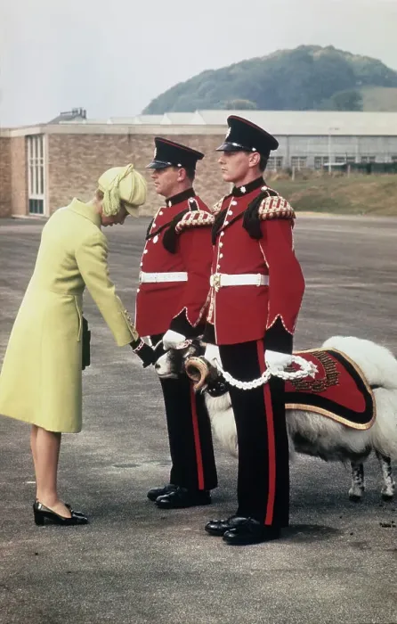 Framed Print : Princess Anne at the Battlesbury Barracks Framed Print : Princess Anne at the Battlesbury Barracks
