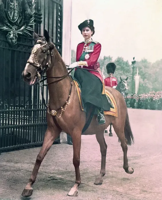 Framed Print : Princess Elizabeth Riding a Horse Framed Print : Princess Elizabeth Riding a Horse