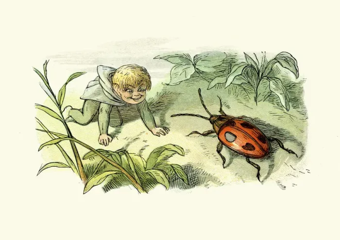 Framed Print : Princess Nobody - Fairy and the ladybird Framed Print : Princess Nobody - Fairy and the ladybird