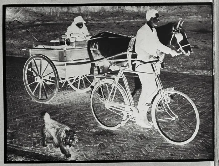 Framed Print : Princess Wilhelmina Riding in Pony Drawn Cart