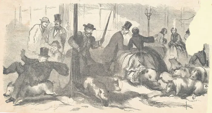Framed Print : Print Depicting Pork Lively - A Sketch from Nature at the Corner of Broadway and Fourth Street Framed Print : Print Depicting Pork Lively - A Sketch from Nature at the Corner of Broadway and Fourth Street