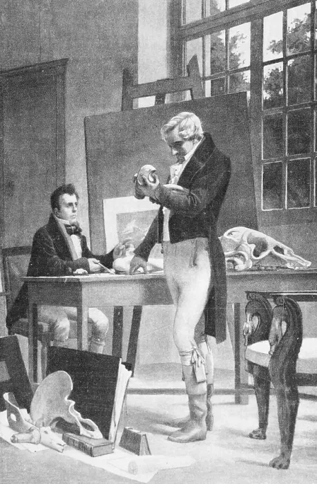 Framed Print : Print of Georges Cuvier Examining Animal Fossils Framed Print : Print of Georges Cuvier Examining Animal Fossils