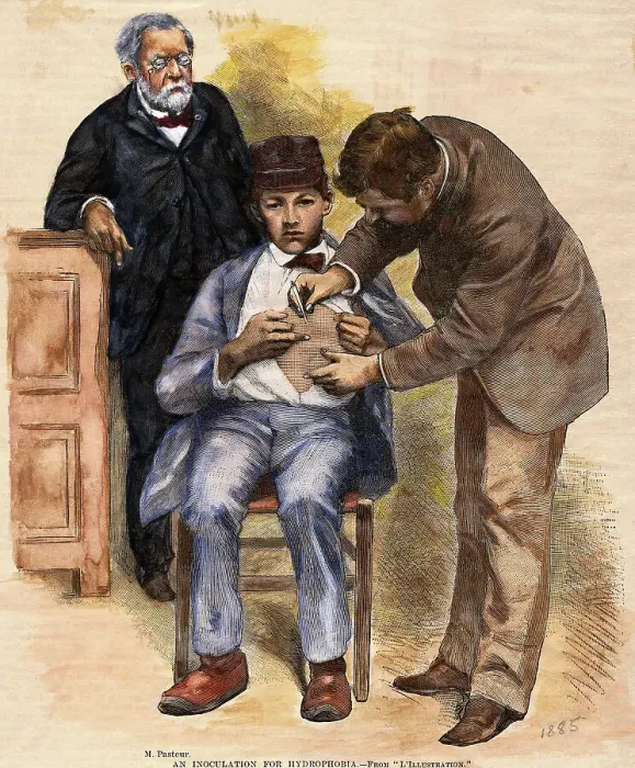 Framed Print : Print of Pasteur Performing Rabies Treatment on Patient Framed Print : Print of Pasteur Performing Rabies Treatment on Patient
