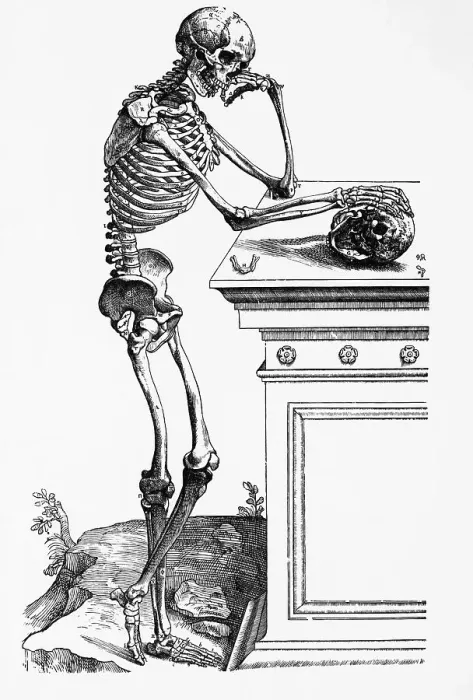 Framed Print : Print of a Skeleton Contemplating a Skull Framed Print : Print of a Skeleton Contemplating a Skull