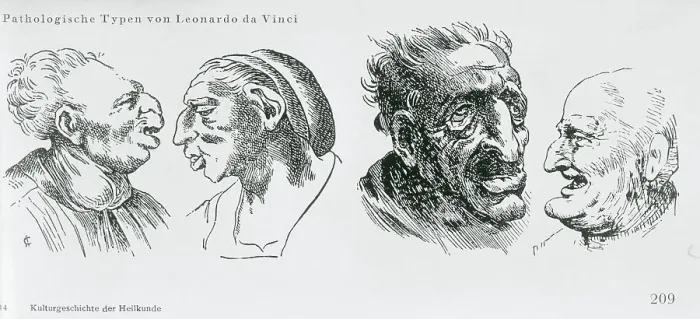 Framed Print : Print After Four Unusual Facial Caricatures by Leonardo da Vinci Framed Print : Print After Four Unusual Facial Caricatures by Leonardo da Vinci