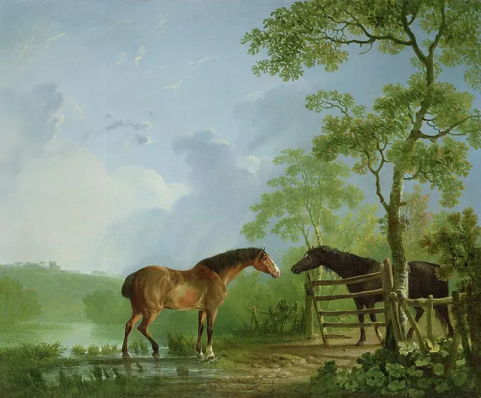 Framed Print : Private Collection Framed Print : Private Collection