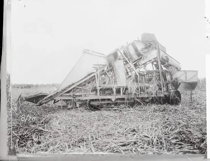 Framed Print : Processing of Sugar Cane Wastes Framed Print : Processing of Sugar Cane Wastes