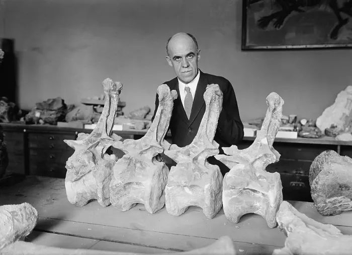 Framed Print : Prof. Chas. Gilmore with Diplodochus Framed Print : Prof. Chas. Gilmore with Diplodochus