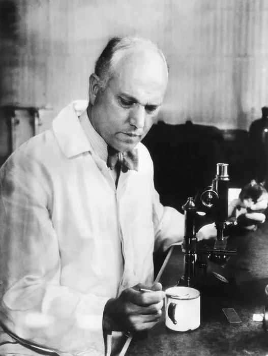 Framed Print : Professor Herbert Evans At Microscope Framed Print : Professor Herbert Evans At Microscope