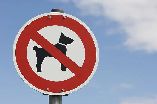 Prohibition sign, no dogs