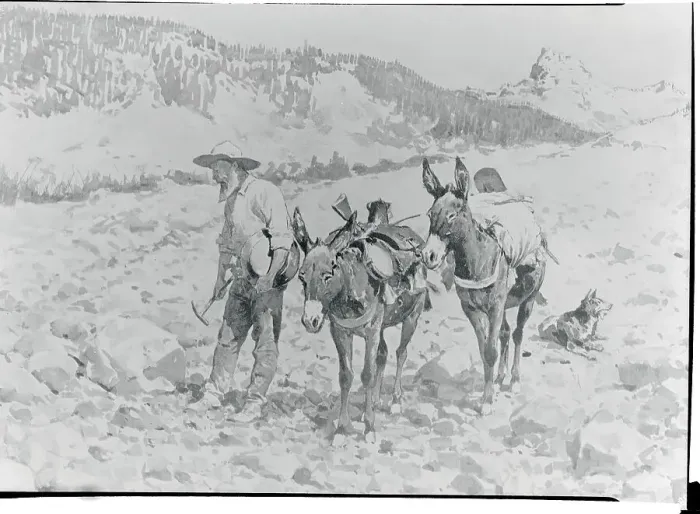 Framed Print : Prospector Searching for Gold Framed Print : Prospector Searching for Gold