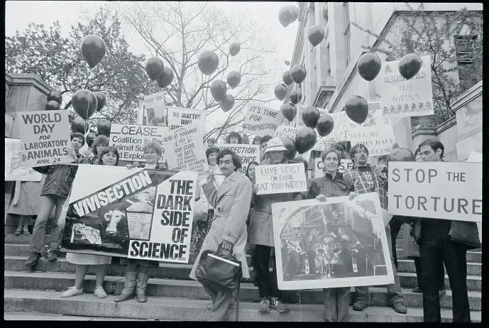 Framed Print : Protesters Displaying Placards Framed Print : Protesters Displaying Placards