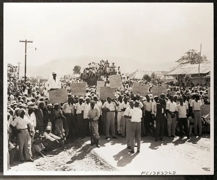 Framed Print : Protesters with Signs Demonstrate Framed Print : Protesters with Signs Demonstrate