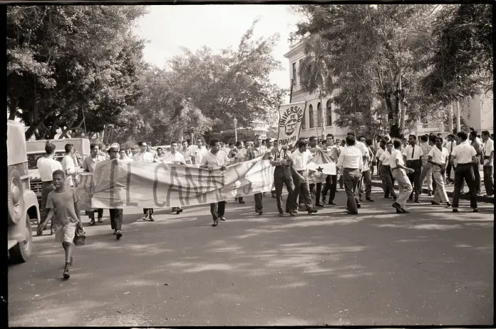 Framed Print : Protesting Students March in Street Framed Print : Protesting Students March in Street