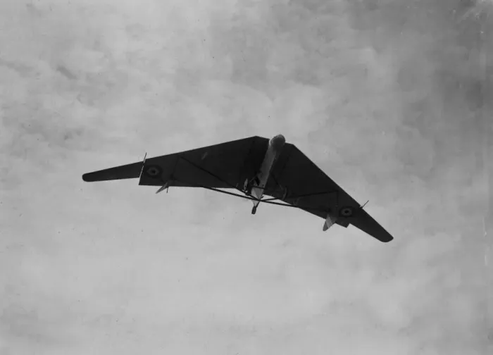 Framed Print : Pterodactyl Plane Framed Print : Pterodactyl Plane