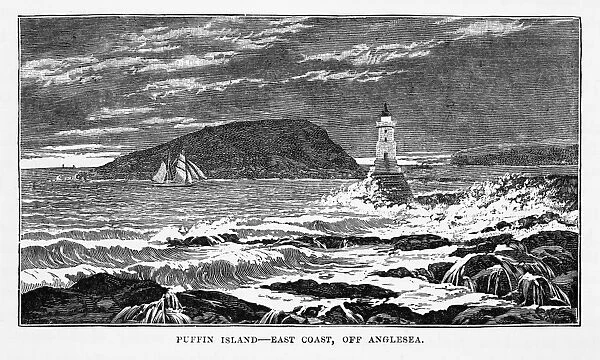 Puffin Island in Anglesey, Wales Victorian Engraving, 1840