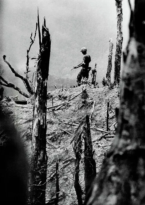 Framed Print : Pulitzer Prize Photo from Vietnam War Framed Print : Pulitzer Prize Photo from Vietnam War