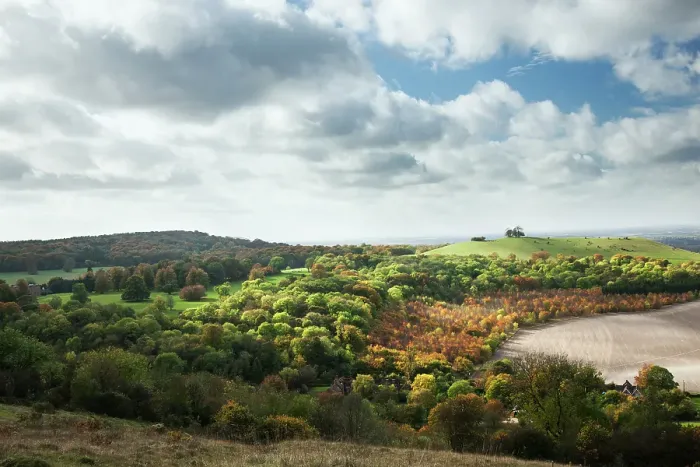Framed Print : Pulpit Hill from Coombe Hill, The Chilterns Framed Print : Pulpit Hill from Coombe Hill, The Chilterns