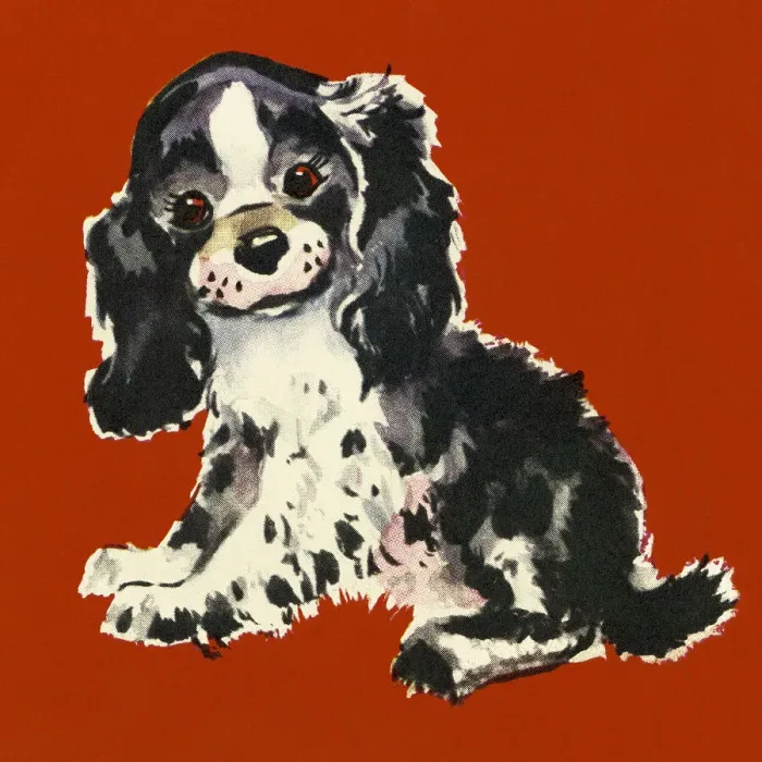 Framed Print : Puppy Framed Print : Puppy