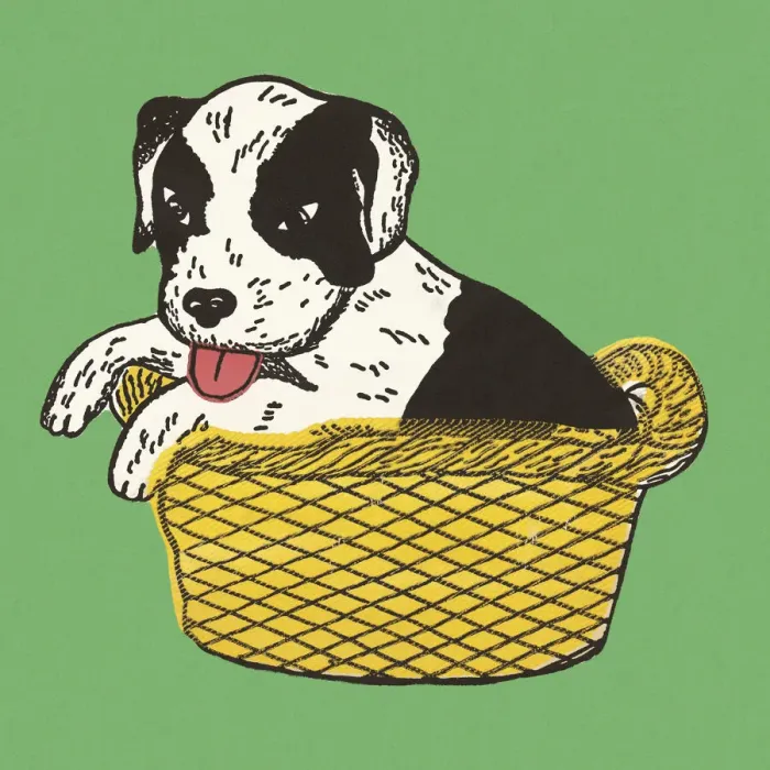 Framed Print : Puppy in a Basket Framed Print : Puppy in a Basket