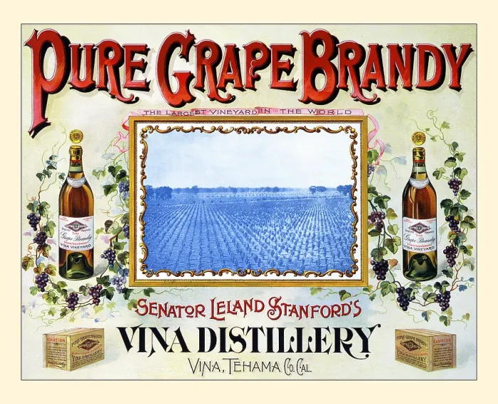 Framed Print : Pure Grape Brandy Framed Print : Pure Grape Brandy