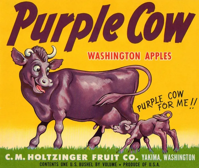 Framed Print : Purple Cow Washington Apples Framed Print : Purple Cow Washington Apples