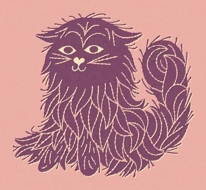 Framed Print : Purple Fluffy Cat Framed Print : Purple Fluffy Cat