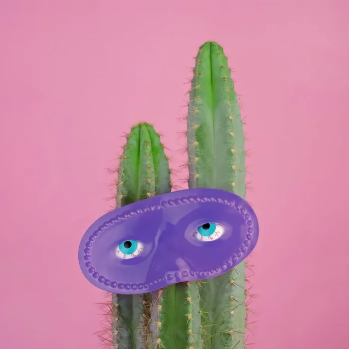 Framed Print : Purple Mask on Blue Cactus Framed Print : Purple Mask on Blue Cactus
