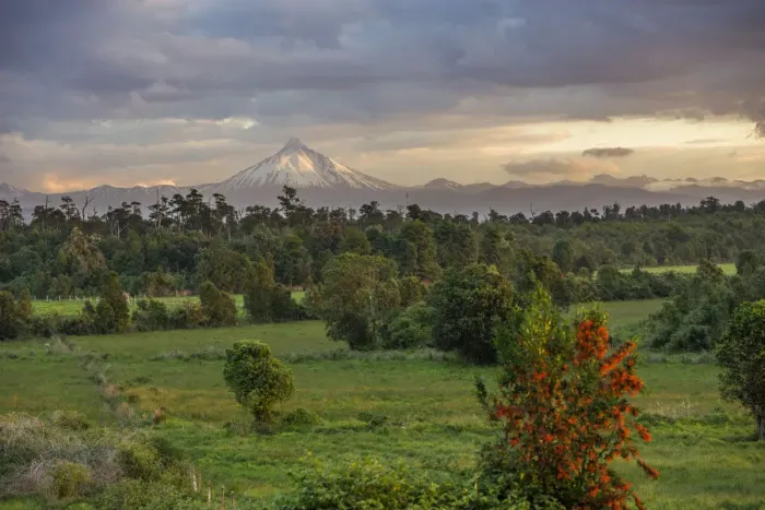 Framed Print : Puyehue volcano in the evening light, Puyehue, Los Lagos Region, Chile Framed Print : Puyehue volcano in the evening light, Puyehue, Los Lagos Region, Chile