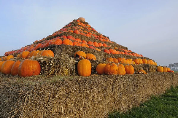 Pyramid of pumpkins