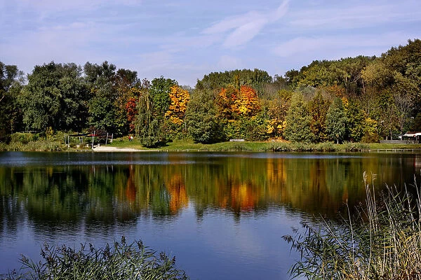 Quarry pond, autumn, Ingolstadt, Bavaria, Germany, Europe