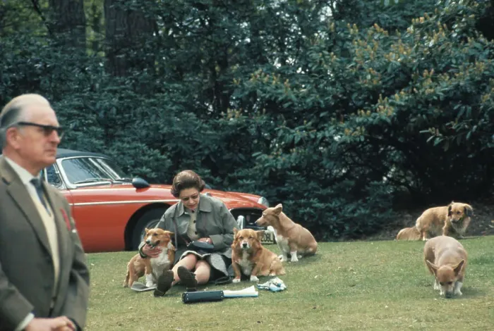 Framed Print : Queen Elizabeth II Sitting with Dogs